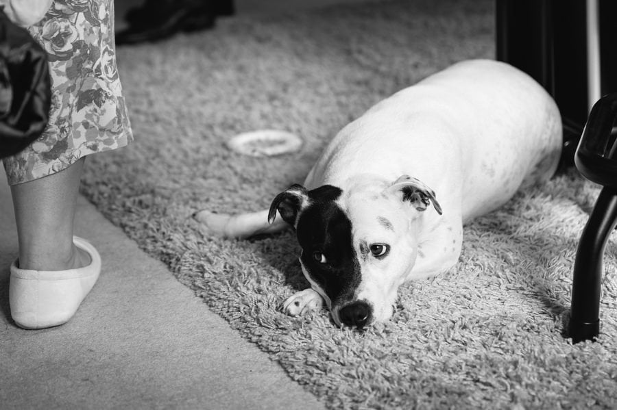 Tros yr afon wedding