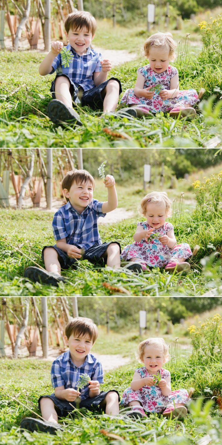 Summer family portraits in Conwy- a walk in sunshine