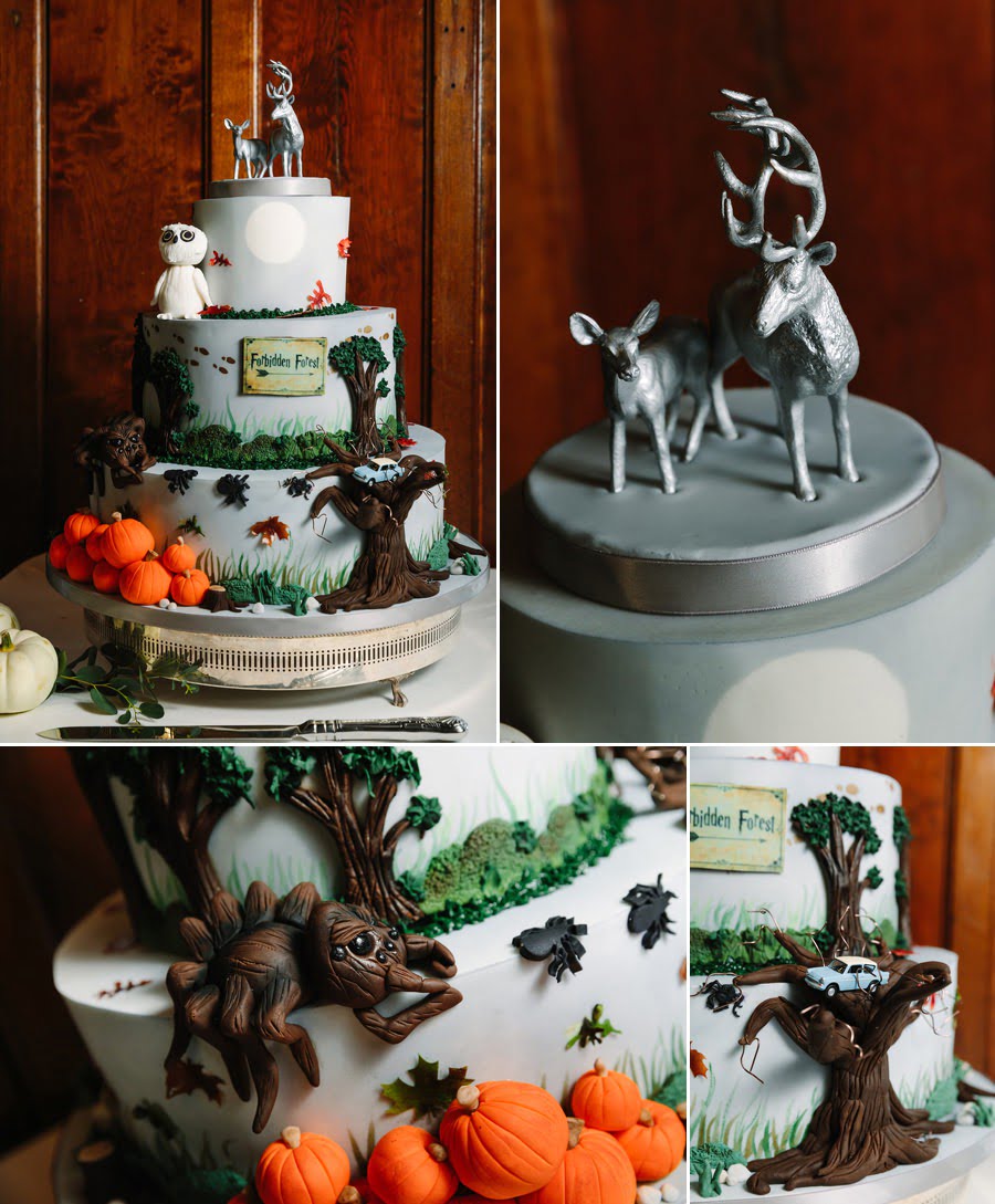 wedding at Chateau Rhianfa