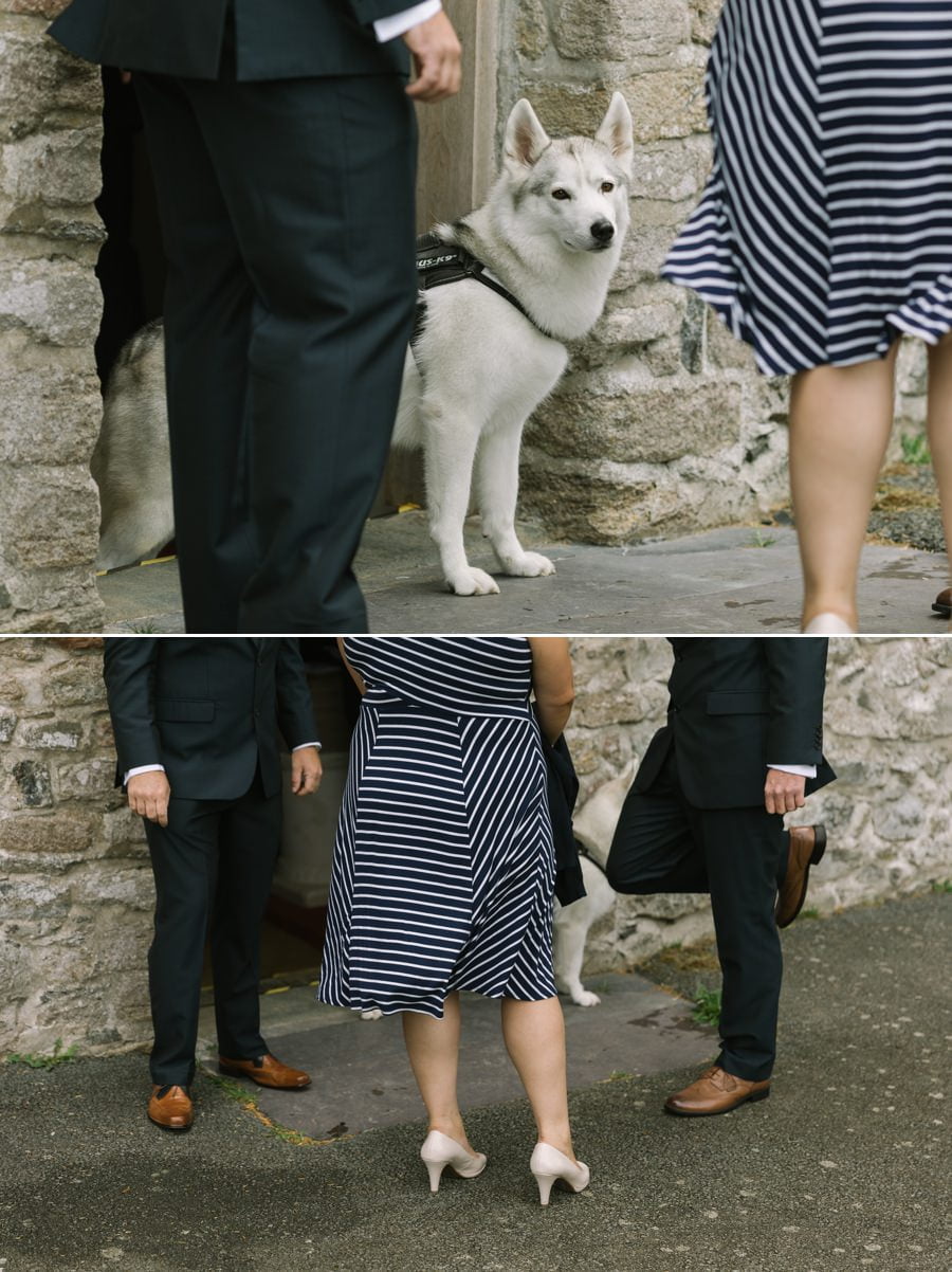 Bryn Eisteddfod wedding