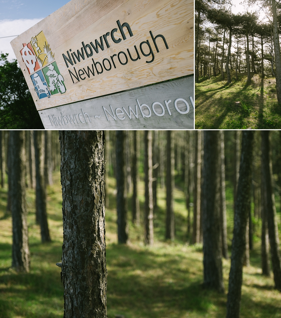 Newborough forest