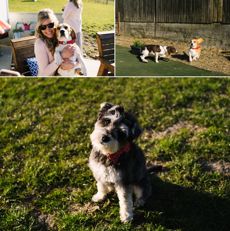 North Wales farm wedding
