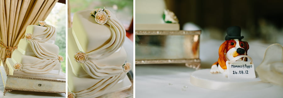 tre ysgawen wedding photographer