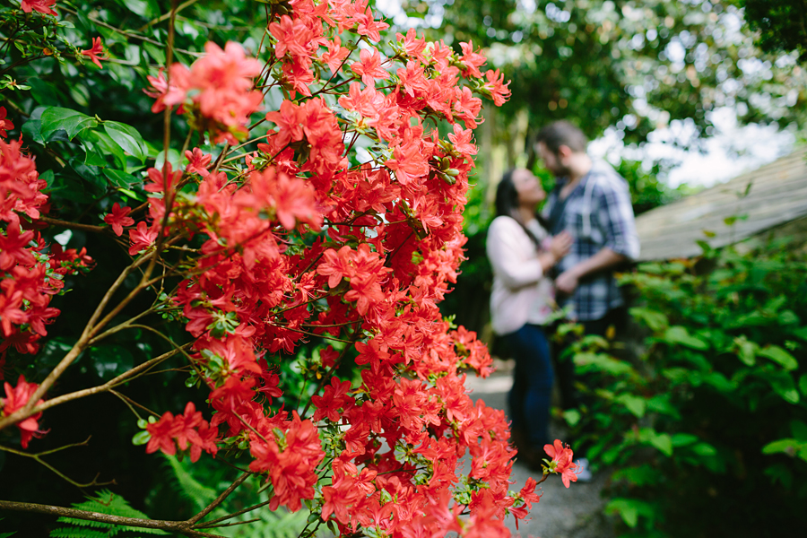 gwynedd engagement photography