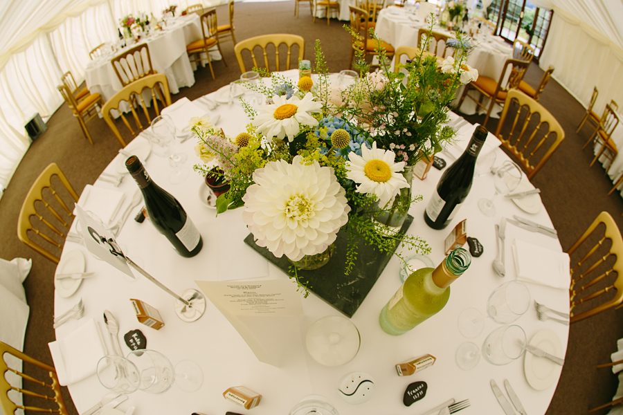 wedding photography at plas isaf