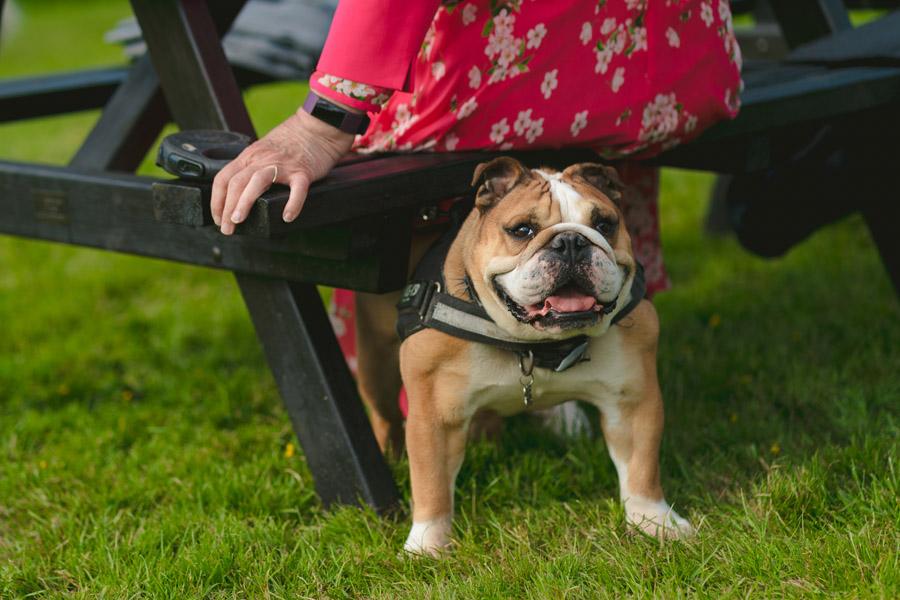 wedding venues - hafod farm