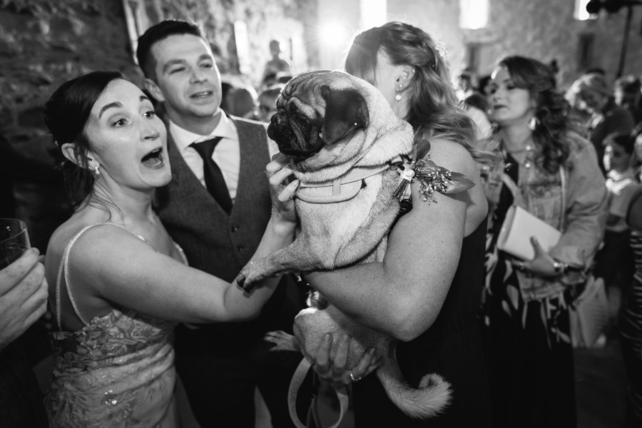 wedding venues - hafod farm